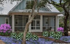 Snow Globe Gardenia - 1 Gallon Pot -Wilson Bros Gardens gardenia jasminoides snow globe 2